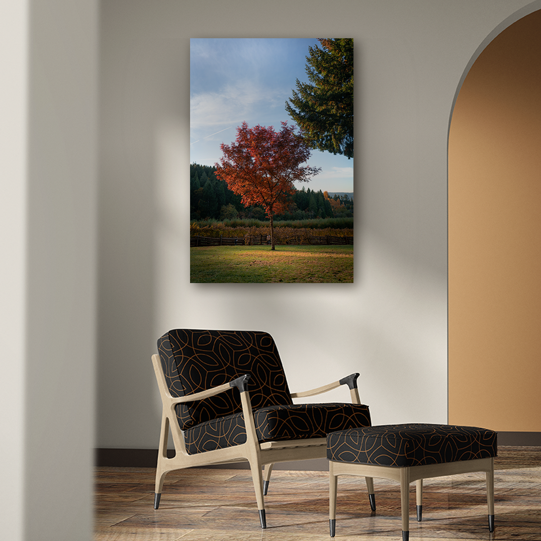 Screenshot 2025-09-20 at 9.47.52 AM.png