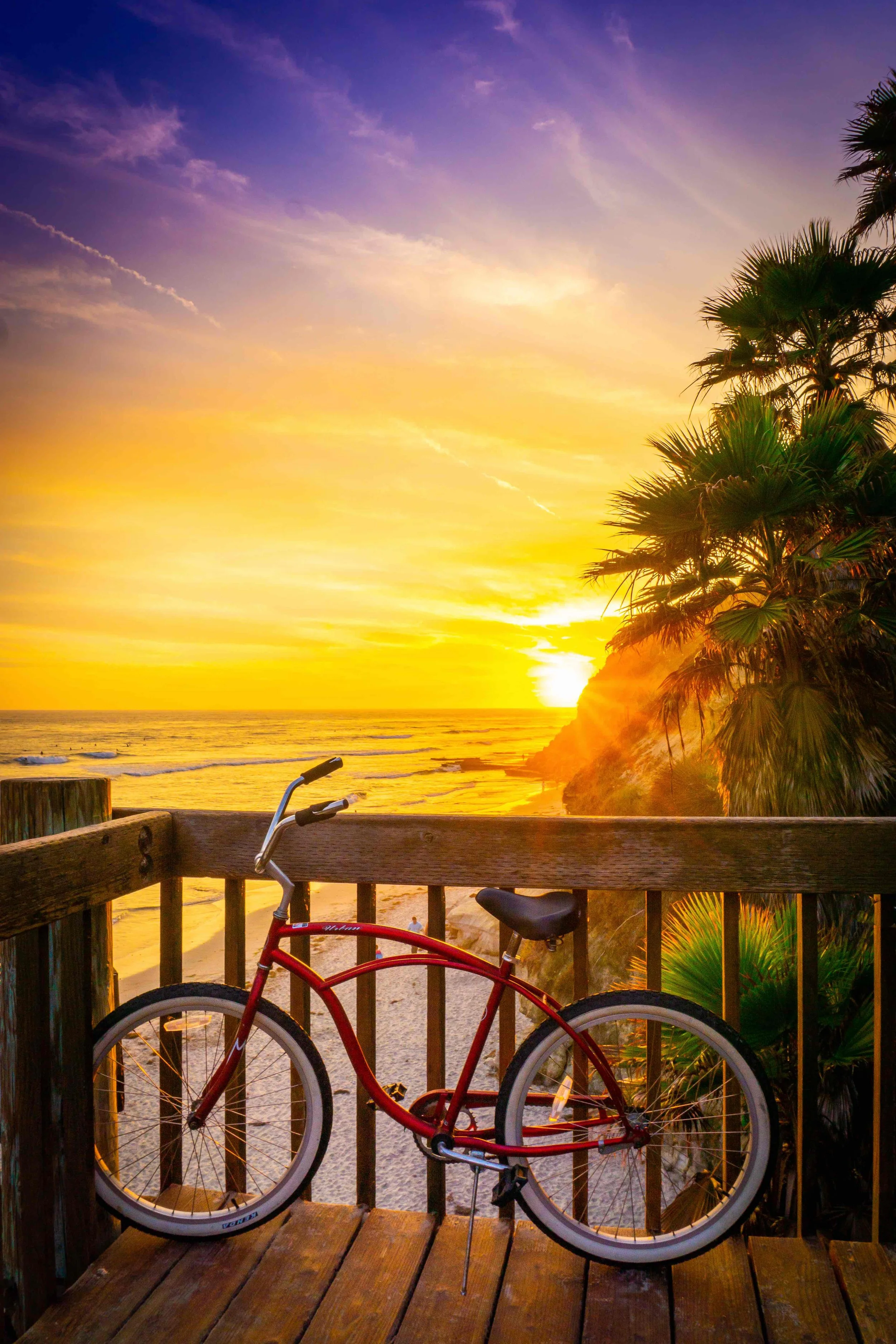 Swamis Bleach Cruiser.jpeg