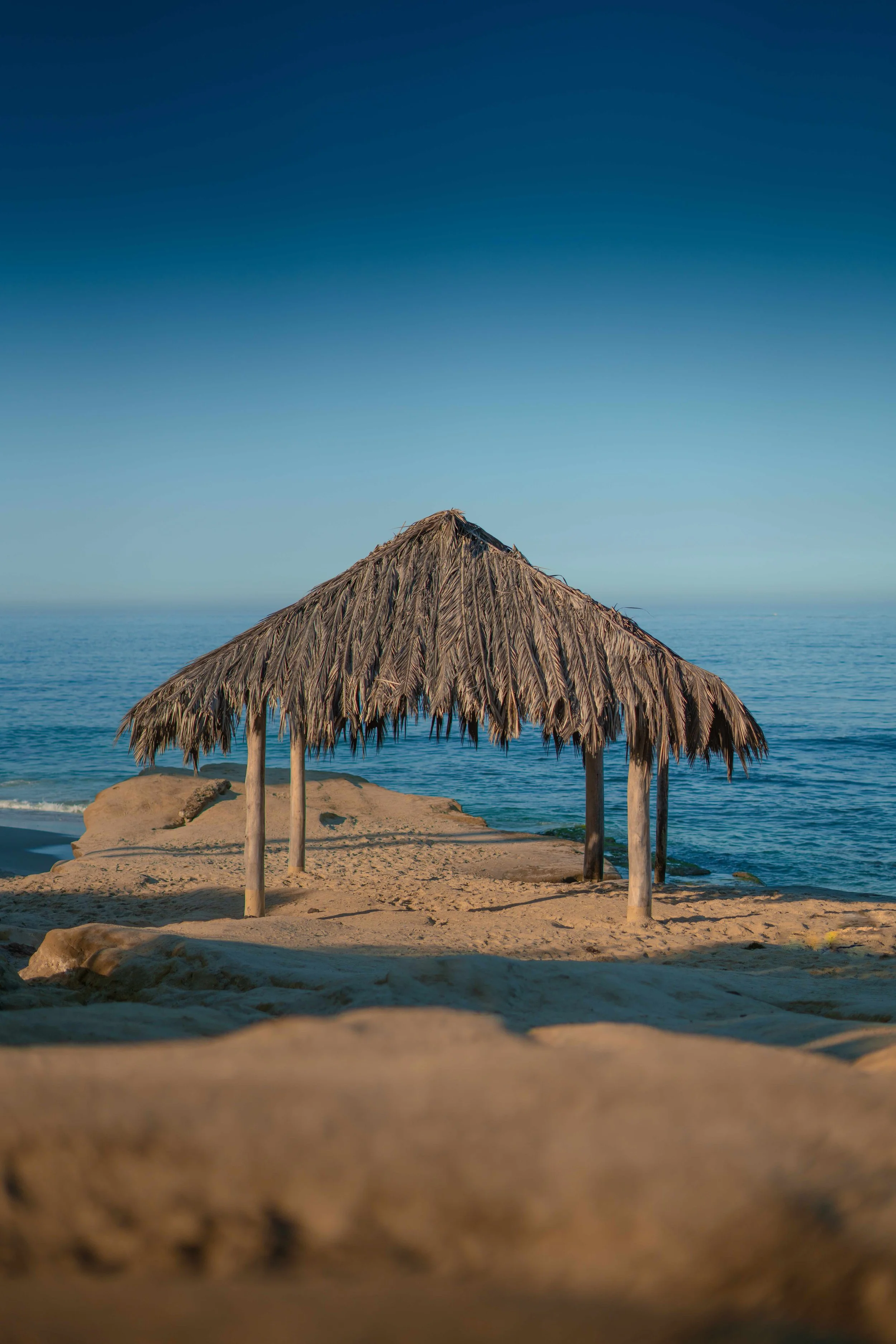 Windansea Palapa.jpeg