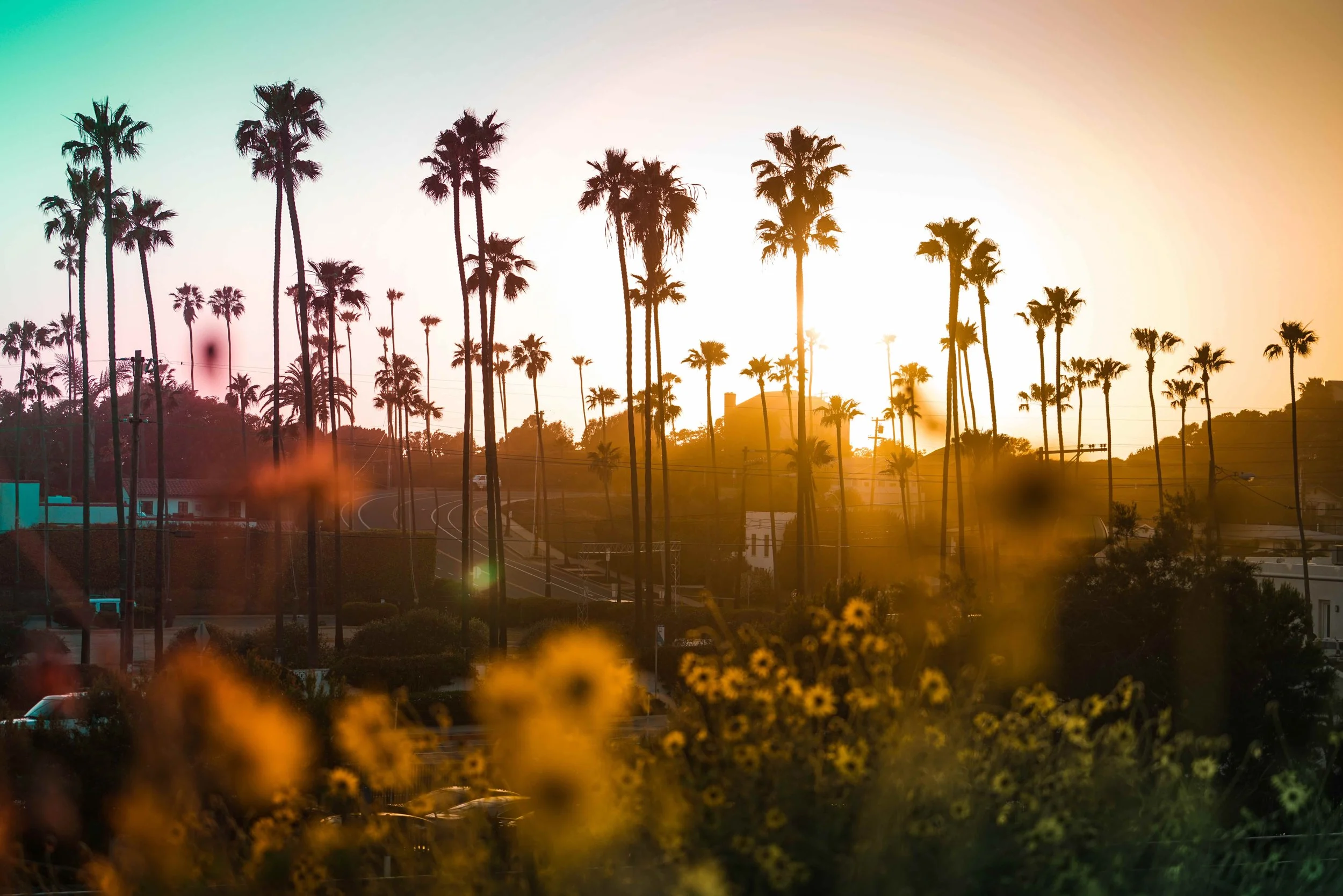 Encinitas Sunset.jpeg