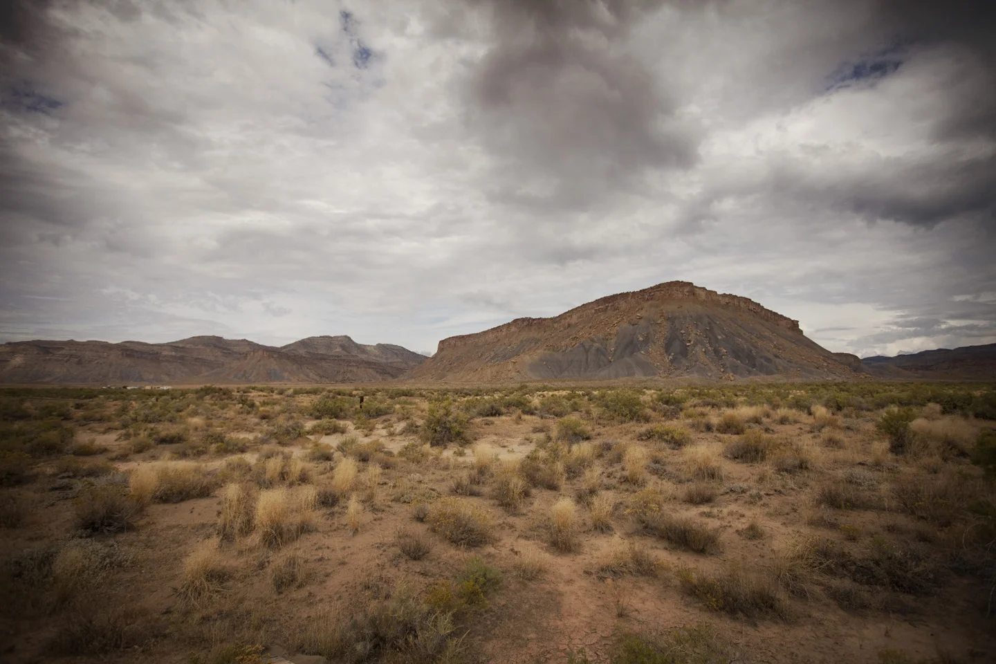 _MG_3518.jpg