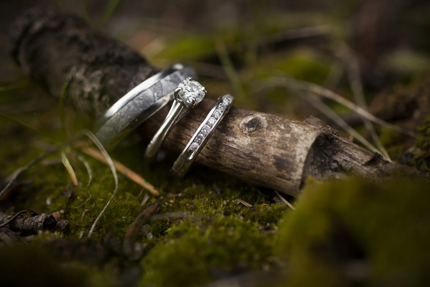_MG_9931.jpg