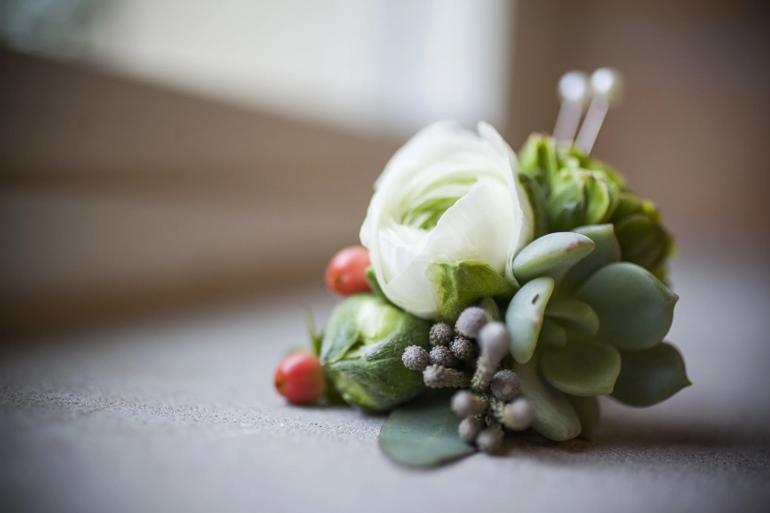 Leek-024.jpg
