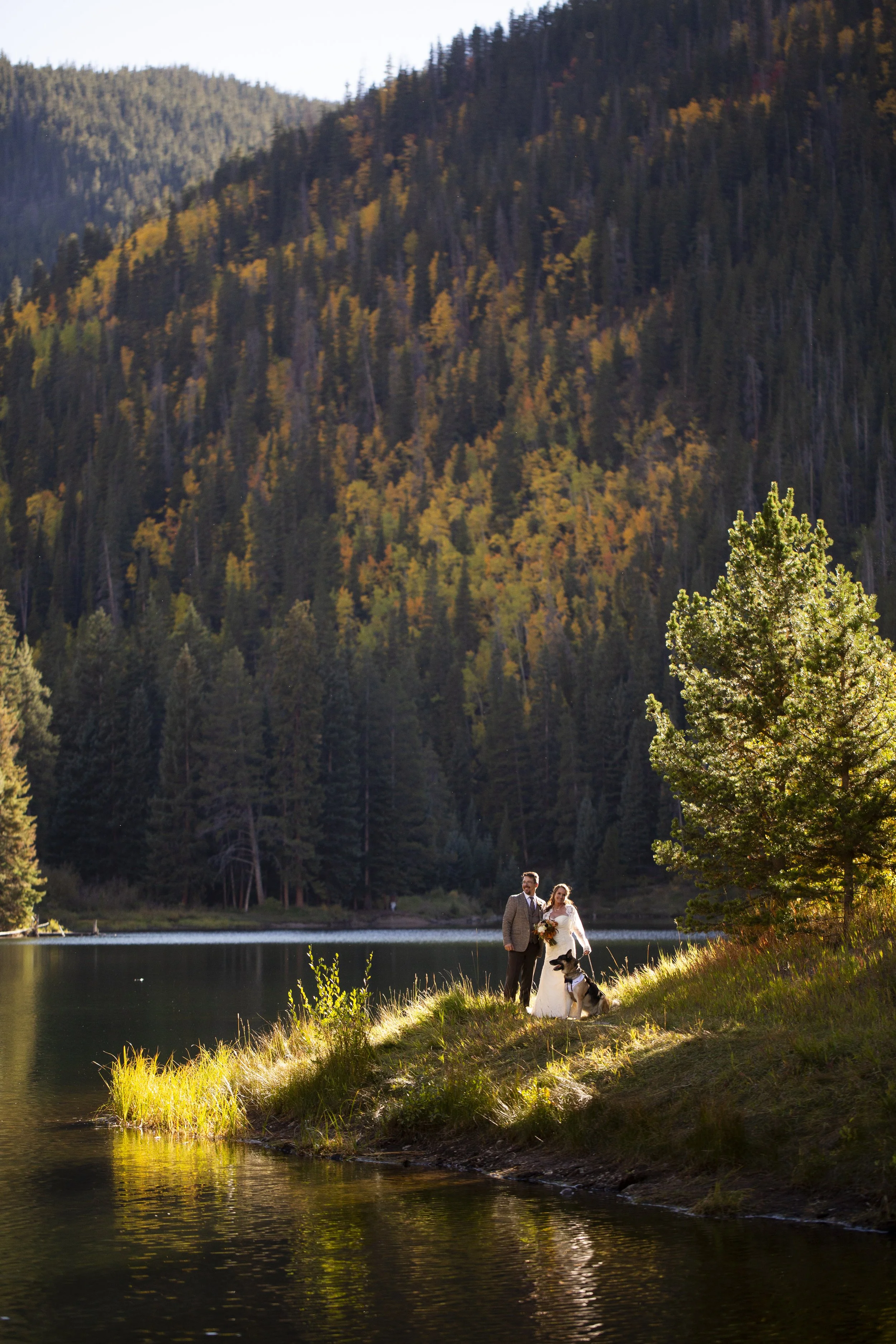 A couple dressed in wedding attire standing with a dog on a grassy peninsula by a lake, surrounded by forested mountains, during daylight.
