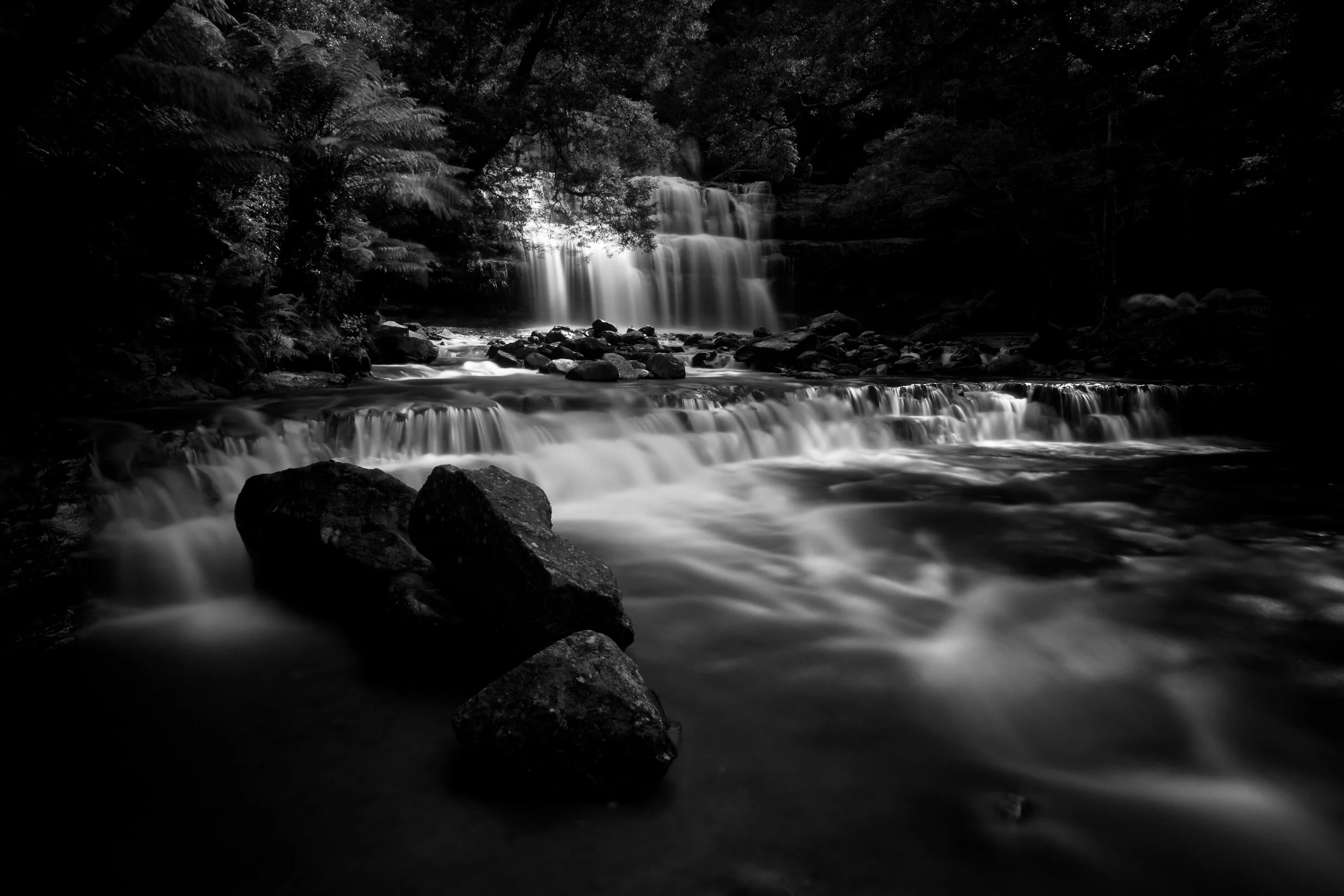 Liffey Falls, Tasmania