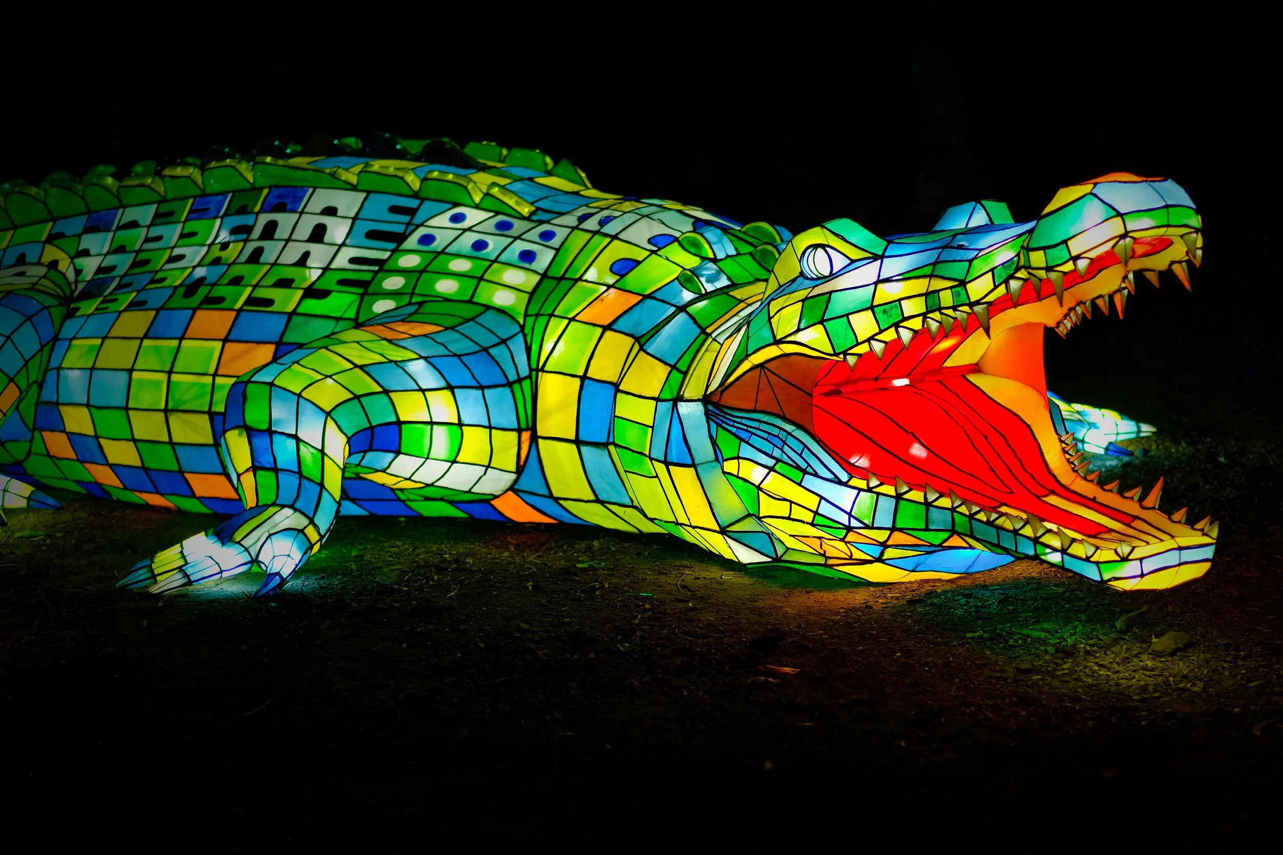 Vivid Sydney at Taronga Zoo
