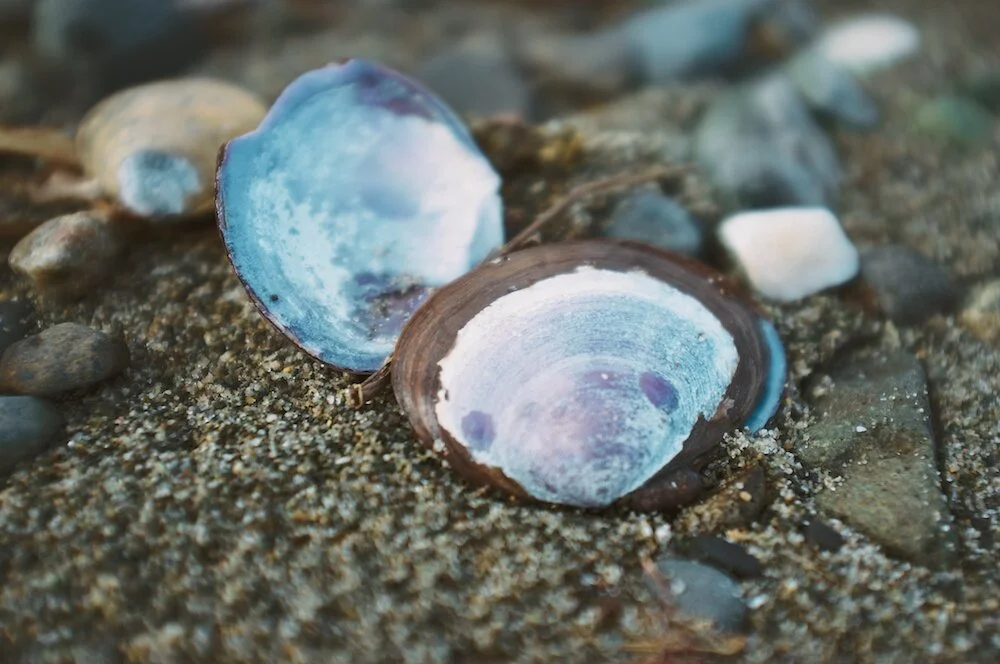 beach-colours-3.jpg