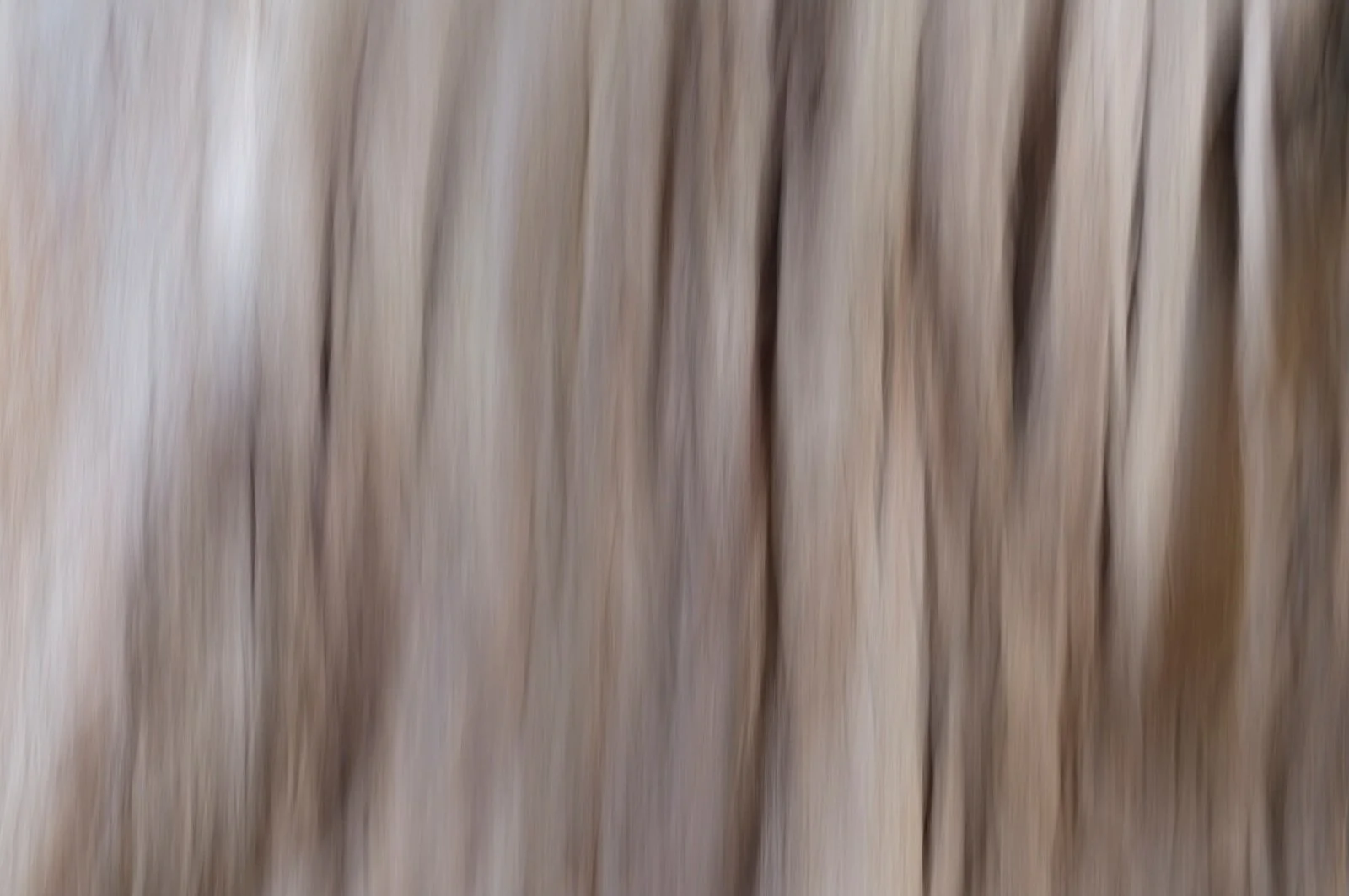gum-tree-bark.jpg