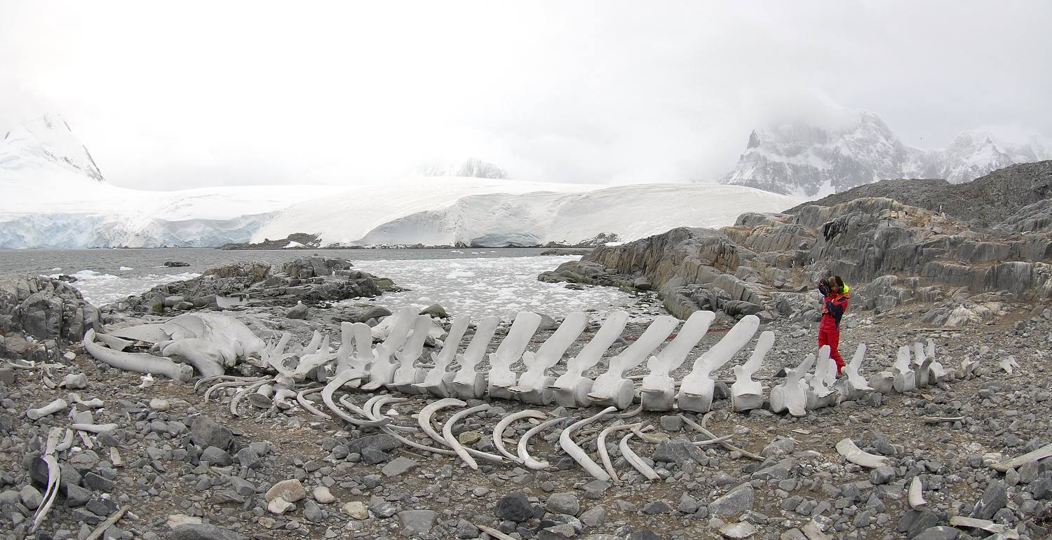 Antarctica_2007_1762a_14_verkleind.jpg