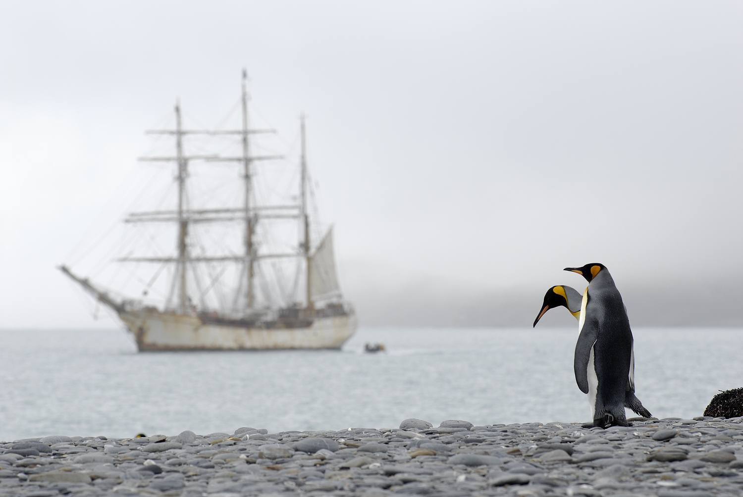 Antarctica_2007_3129a_20_verkleind.jpg