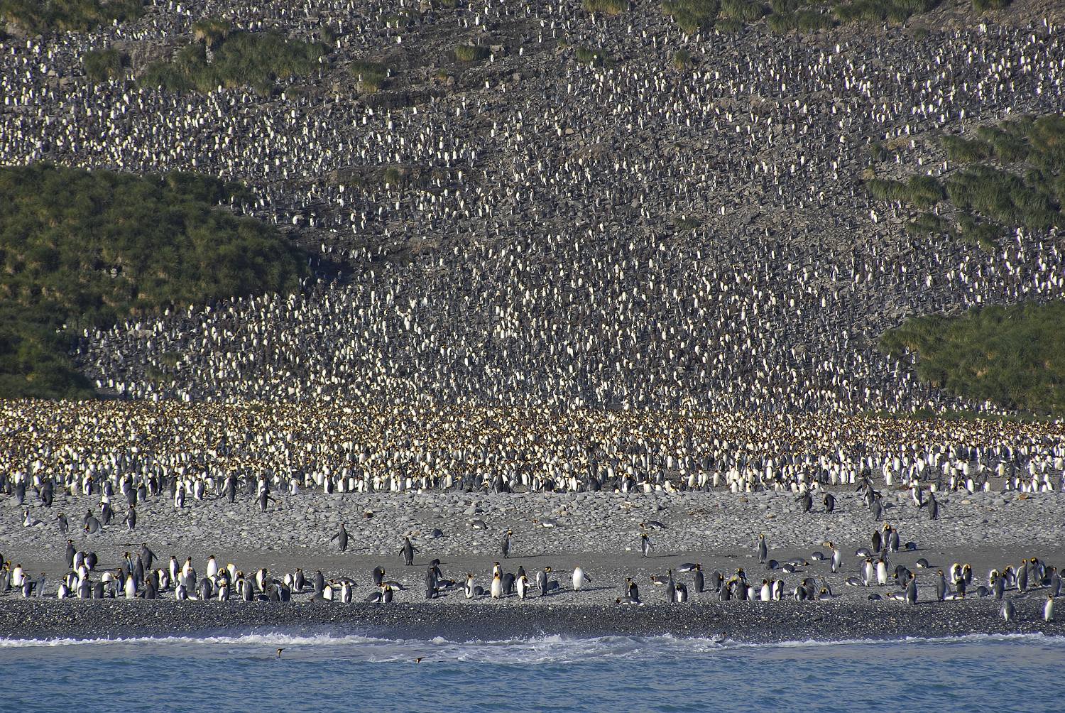 Antarctica_2007_3101a_19_verkleind.jpg