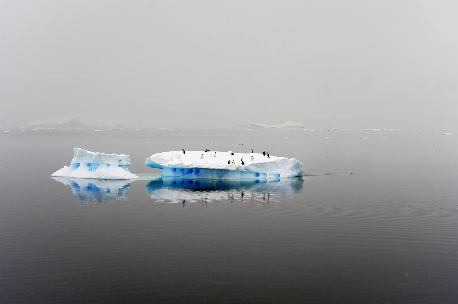 antarctica2008_0922b_31_verkleind.jpg