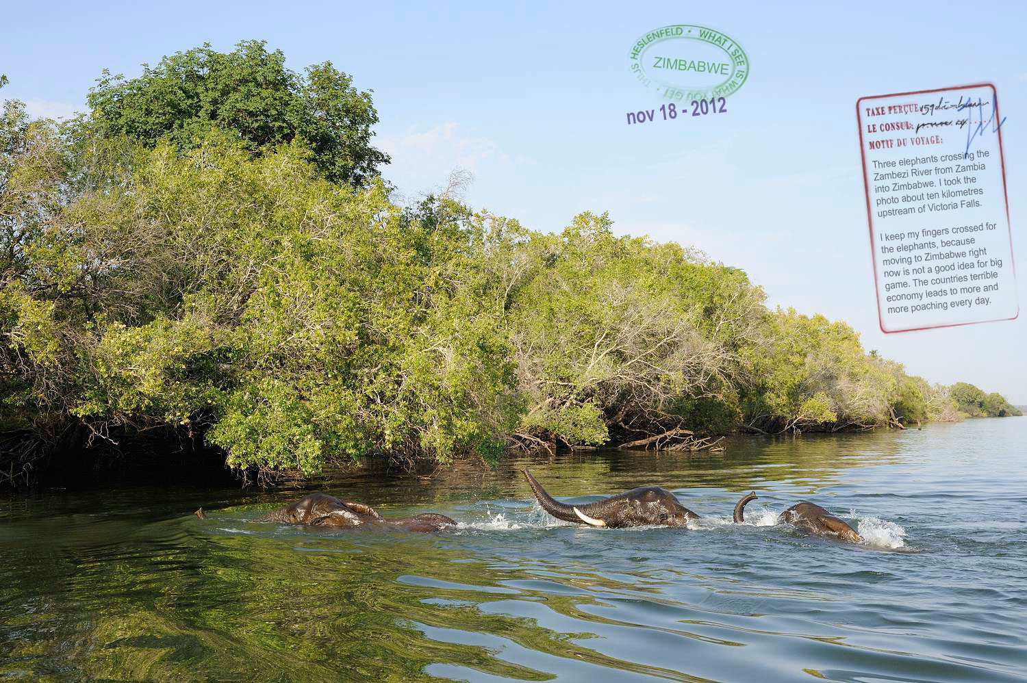 Zambezi River, Zimbabwe