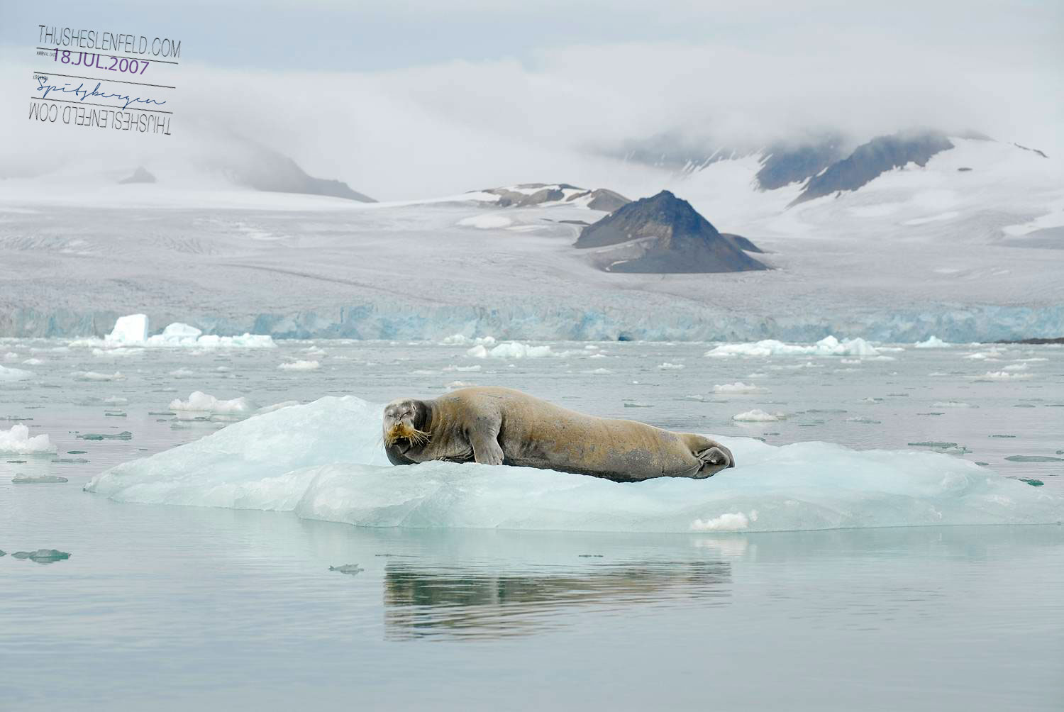 Liefdefjorden, Spitsbergen