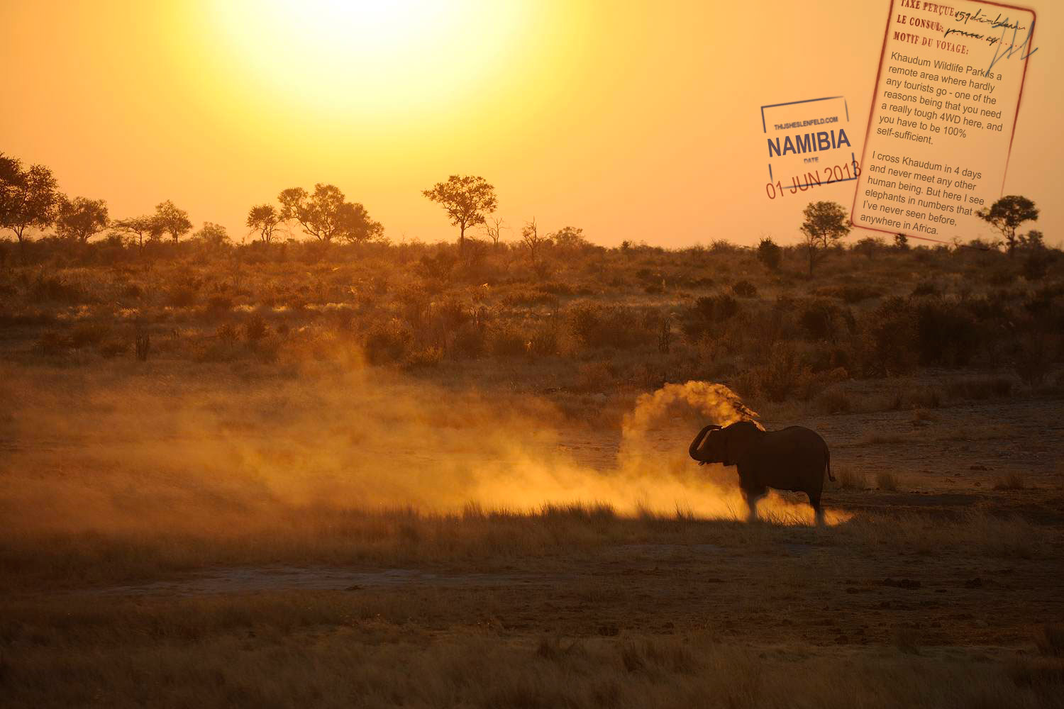 namibia2013-4093-thijsheslenfeldA_45_verkleind.jpg