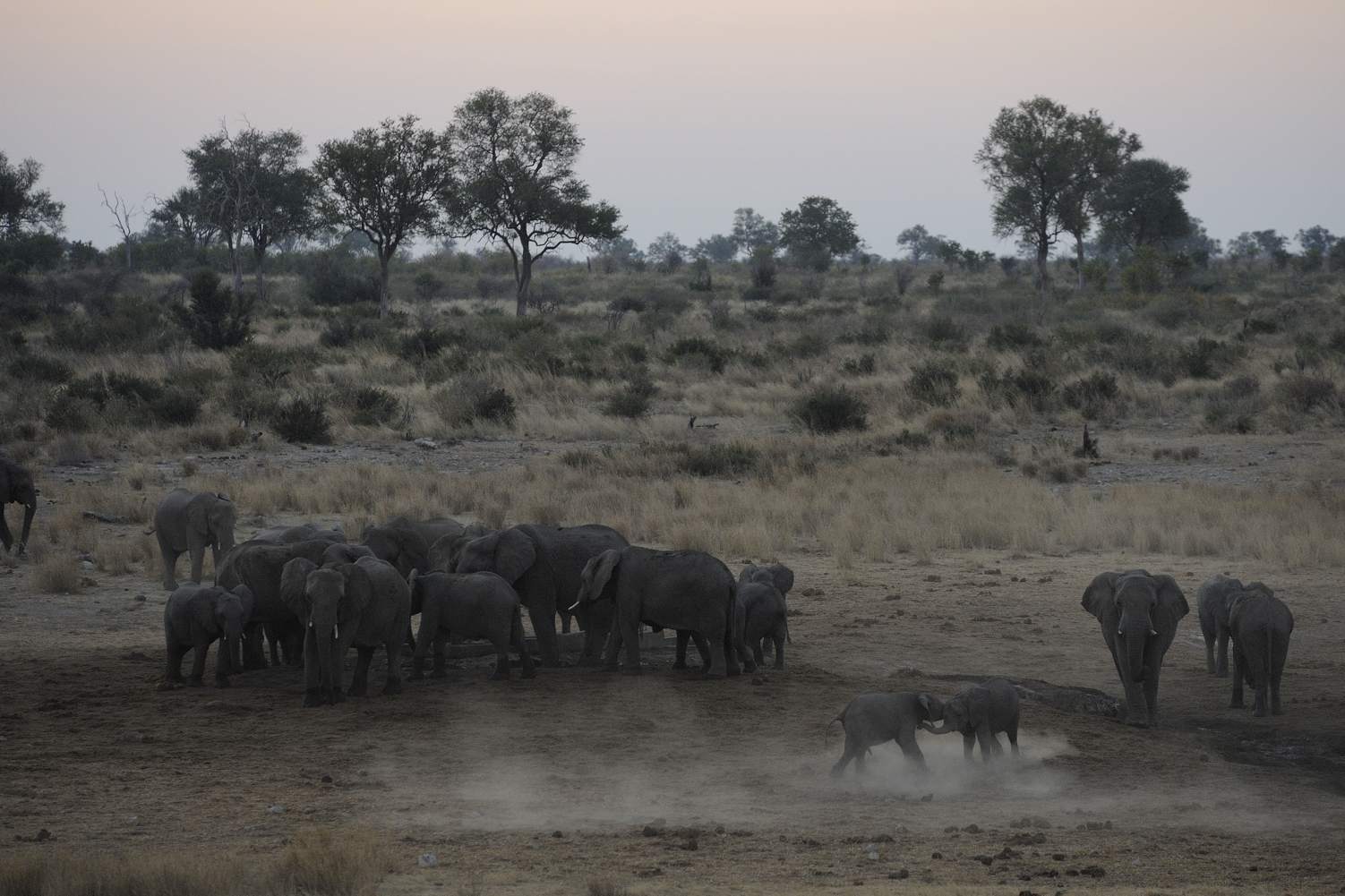 thijsheslenfeld_350_namibia.jpg