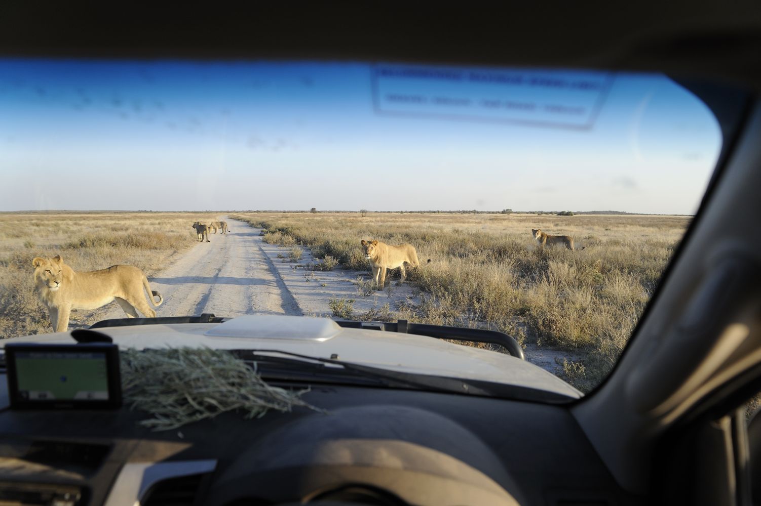 namibia2014-0662-thijsheslenfeldA_40_verkleind.jpg