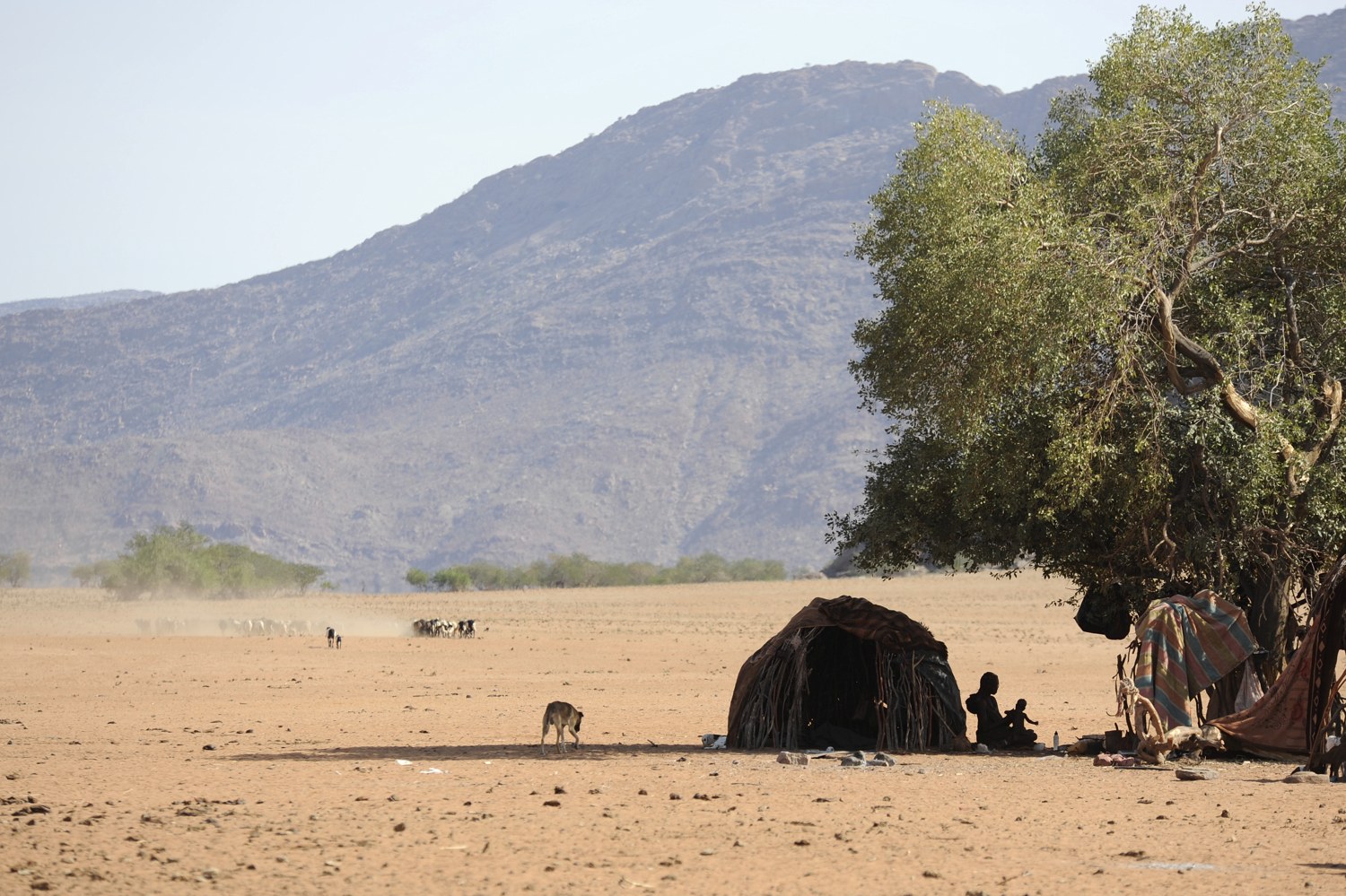 namibia2015-0564-thijsheslenfeldA.jpg