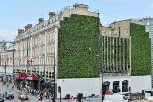London-Largest-LivingWall1-537x357.jpg