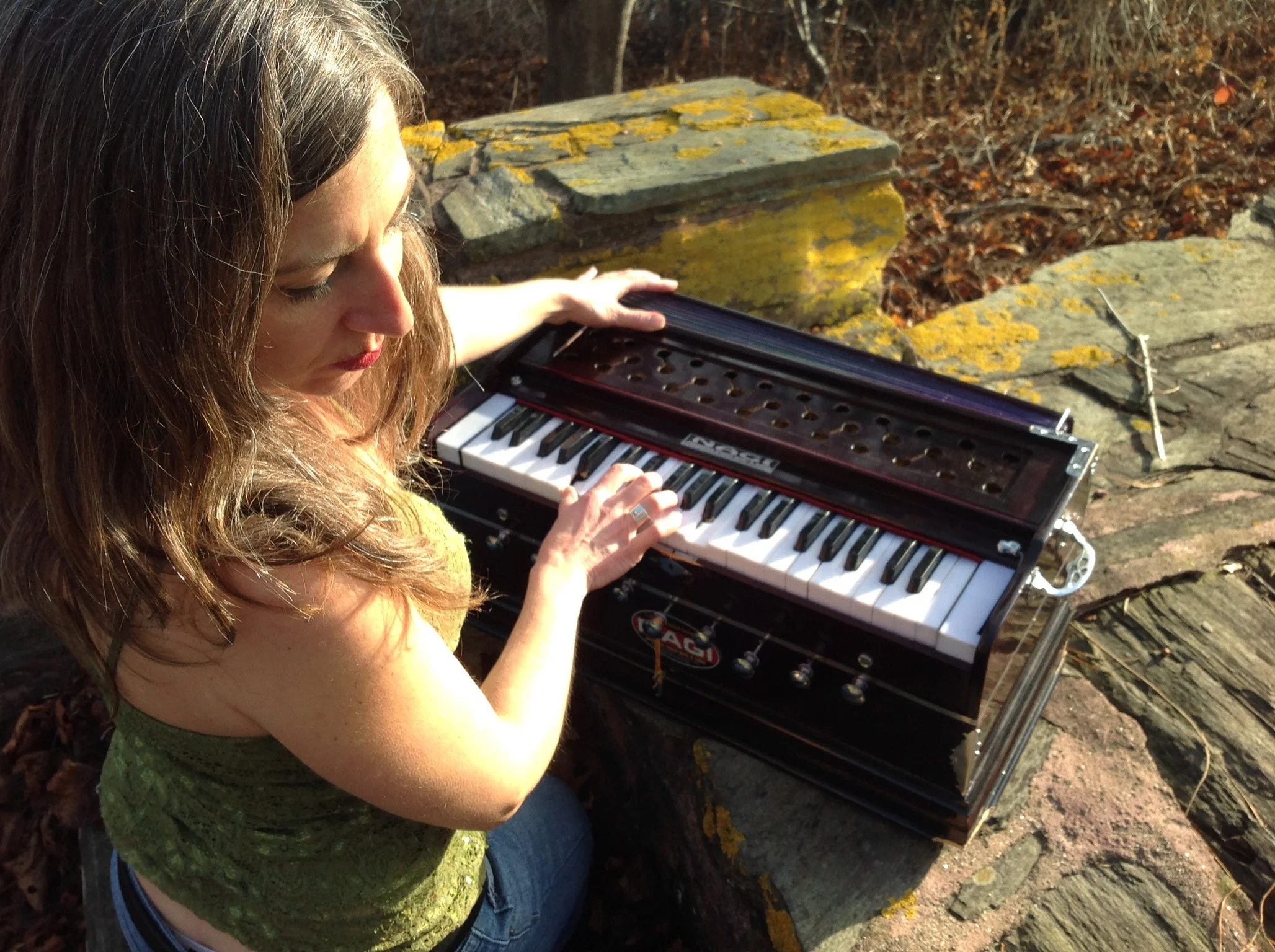 Cancelled Due to the Virus. Meditative Singing! at  Yogave - 