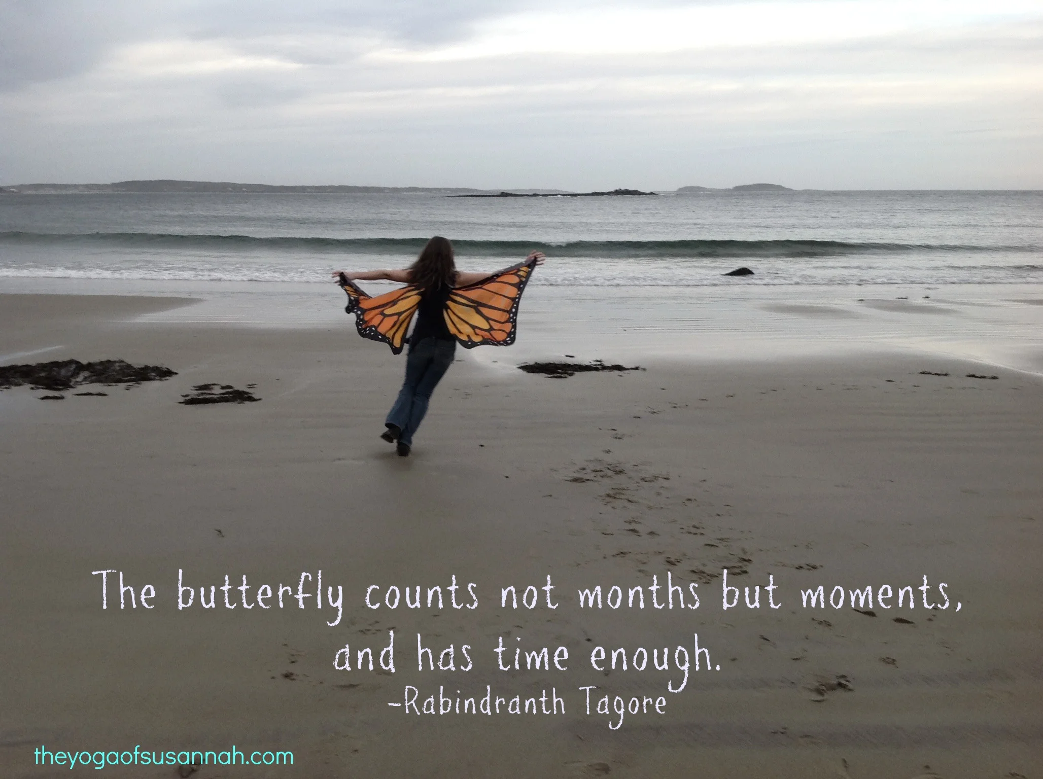 thebutterflycounts.jpg