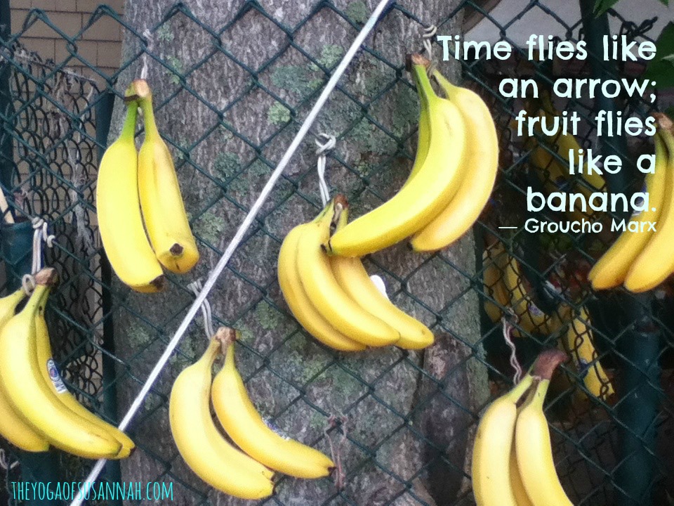 timeflieslikeabanana.jpg