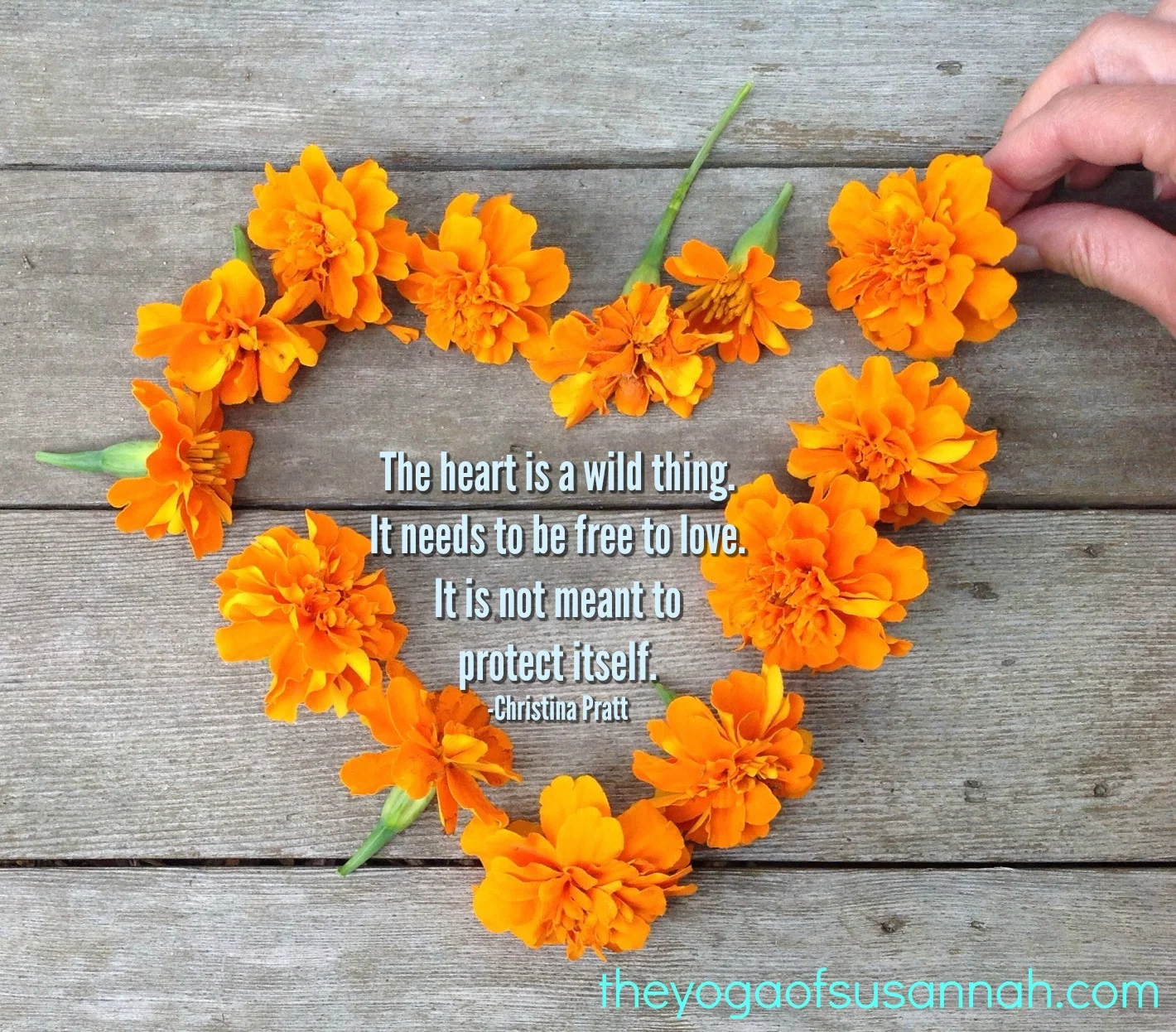 theheartisawildthing.jpg