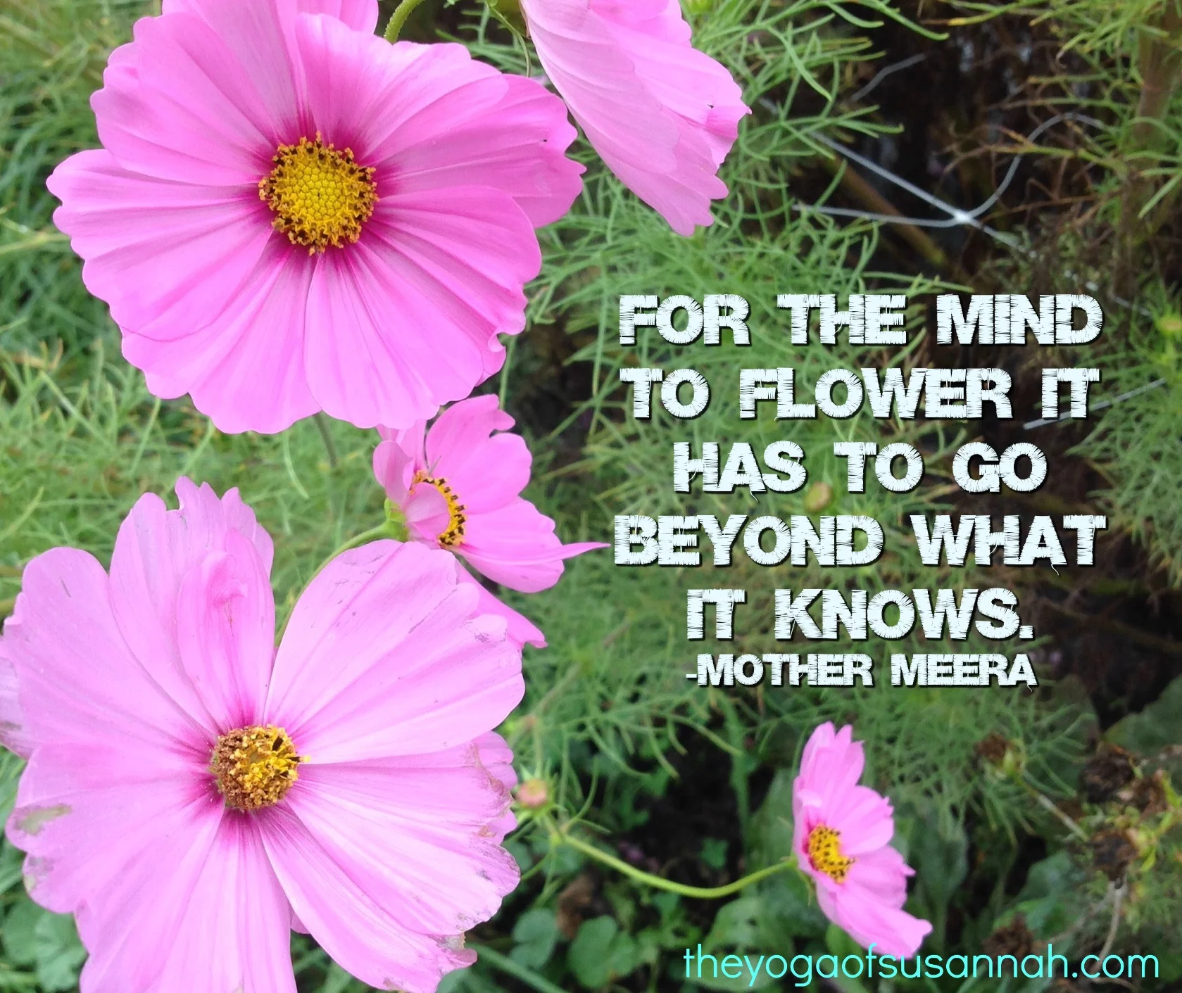 forthemindtoflower.jpg