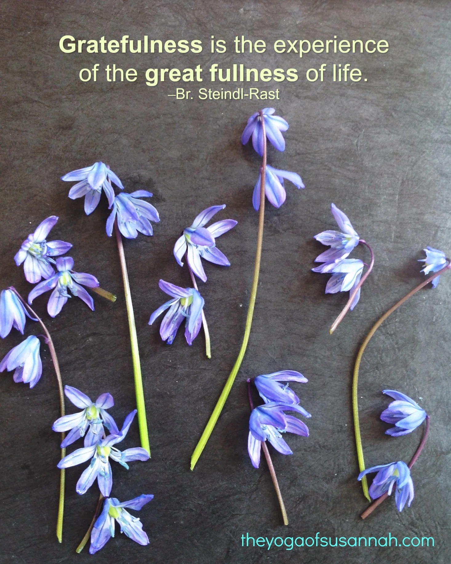 gratefulness.jpg