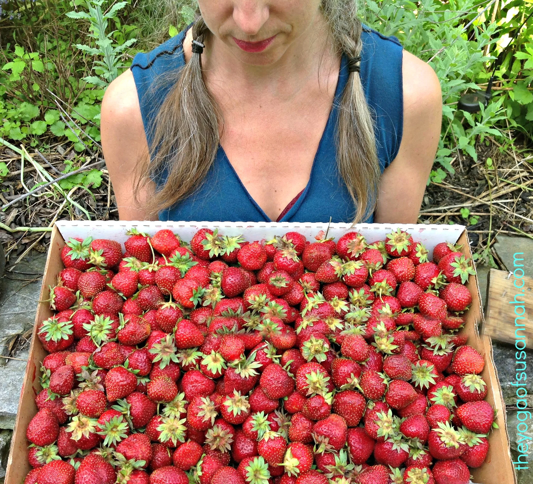 sberries.jpg