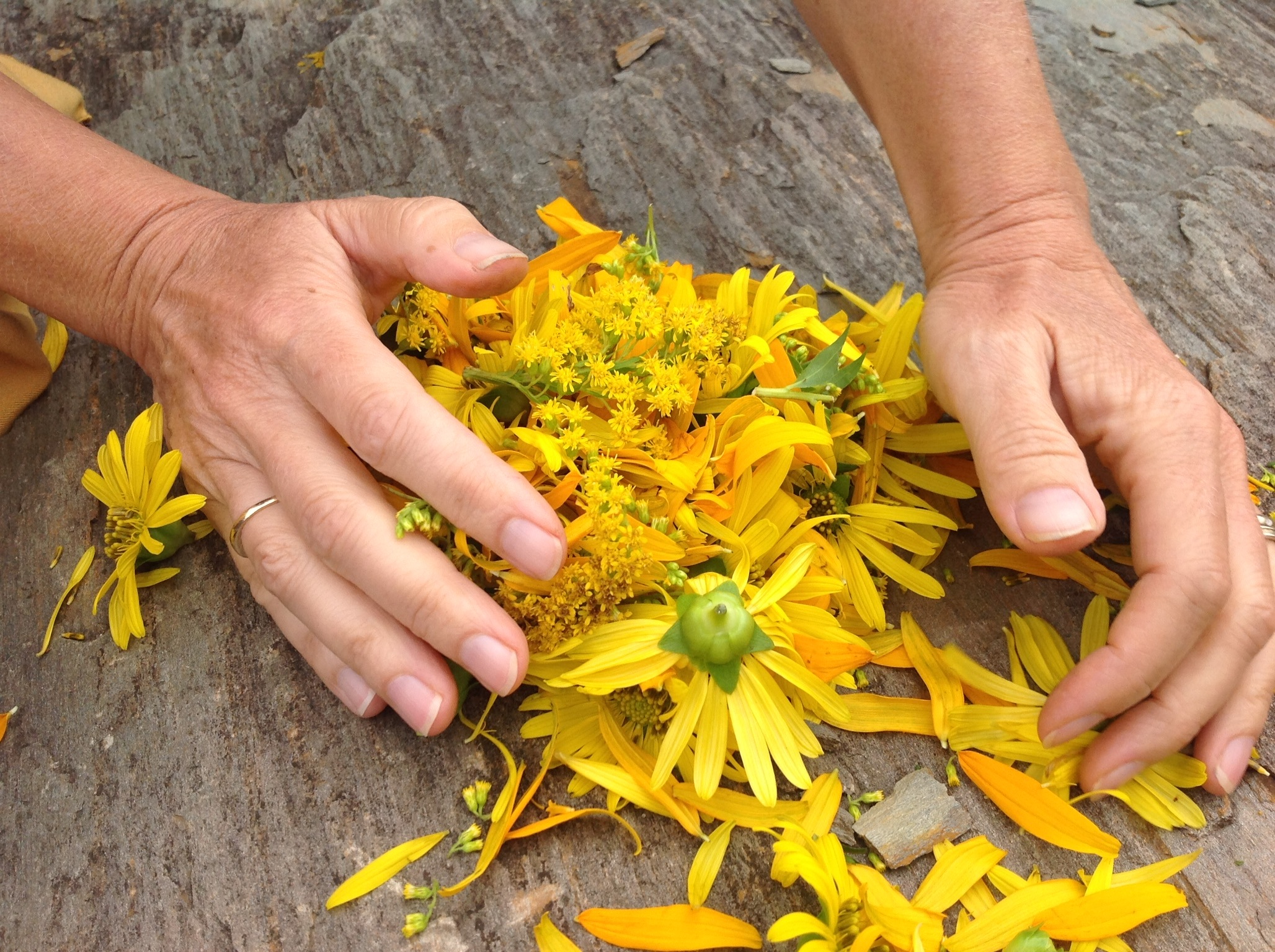 Cancelled Due to the Virus. Meditative Singing @ Yogave
