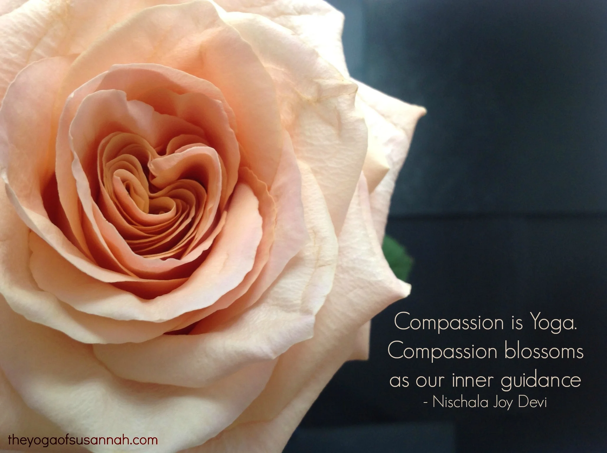 compassionisyoga.jpg