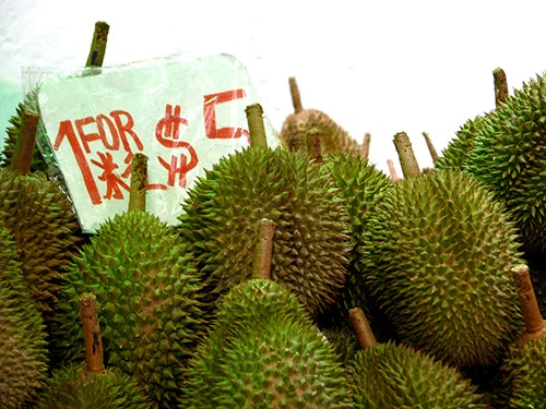 FI-EVERYDAY-SINGAPORE.jpg