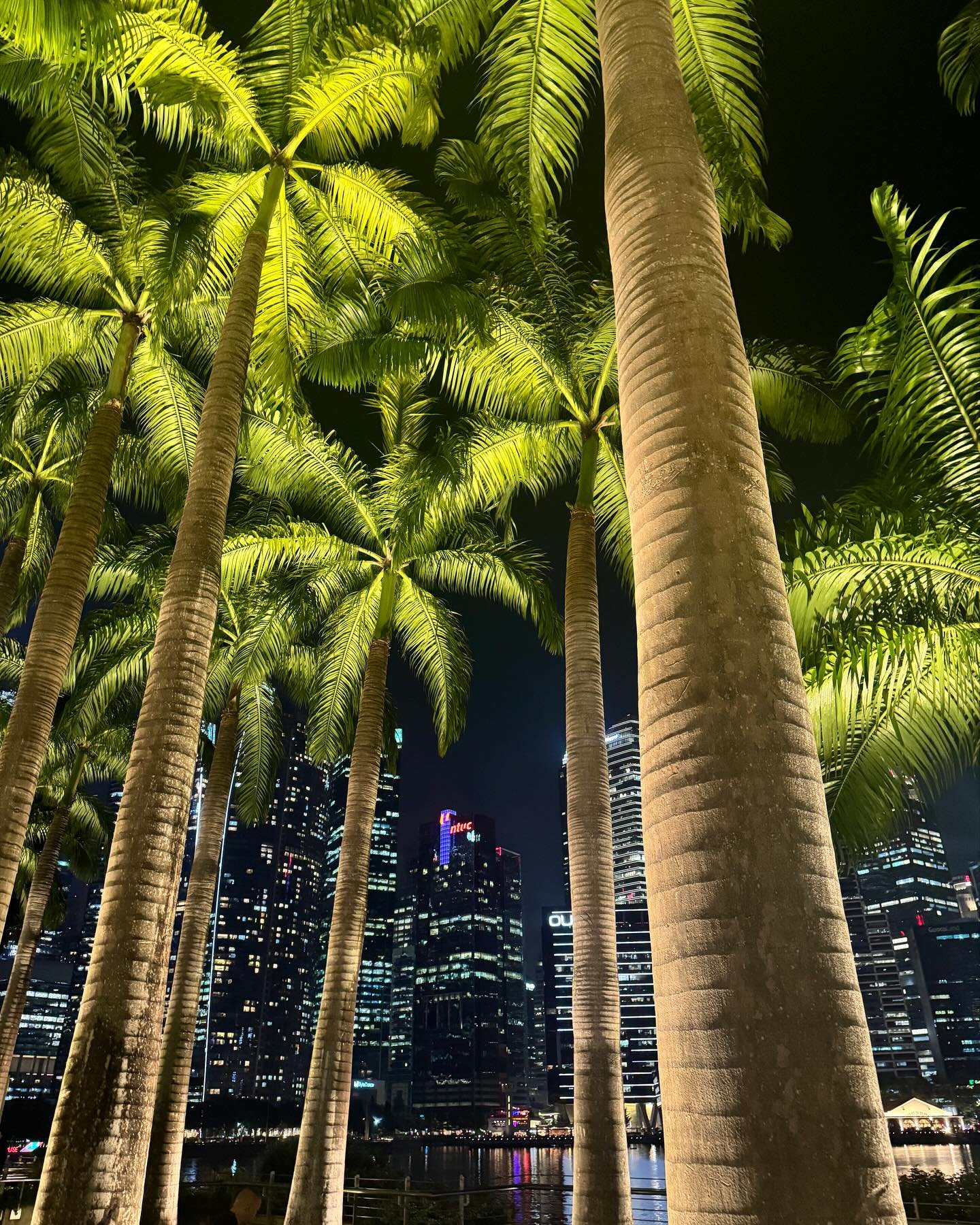 The Garden City becomes a City in a Garden. #gardencity #singapore #future #green #sustainability #urban #Lee Kuan Yew