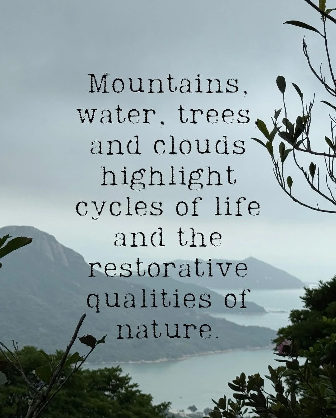 Deborah McKellar&rsquo;s Between Realms&nbsp;invites viewers into dreamscapes where earthly struggle meets the promise of renewal.
Glimpses into a world re-imagined in light and hope

📍 *Whitestone Gallery Singapore*
39 Keppel Road, #05-03/06, Tanjo