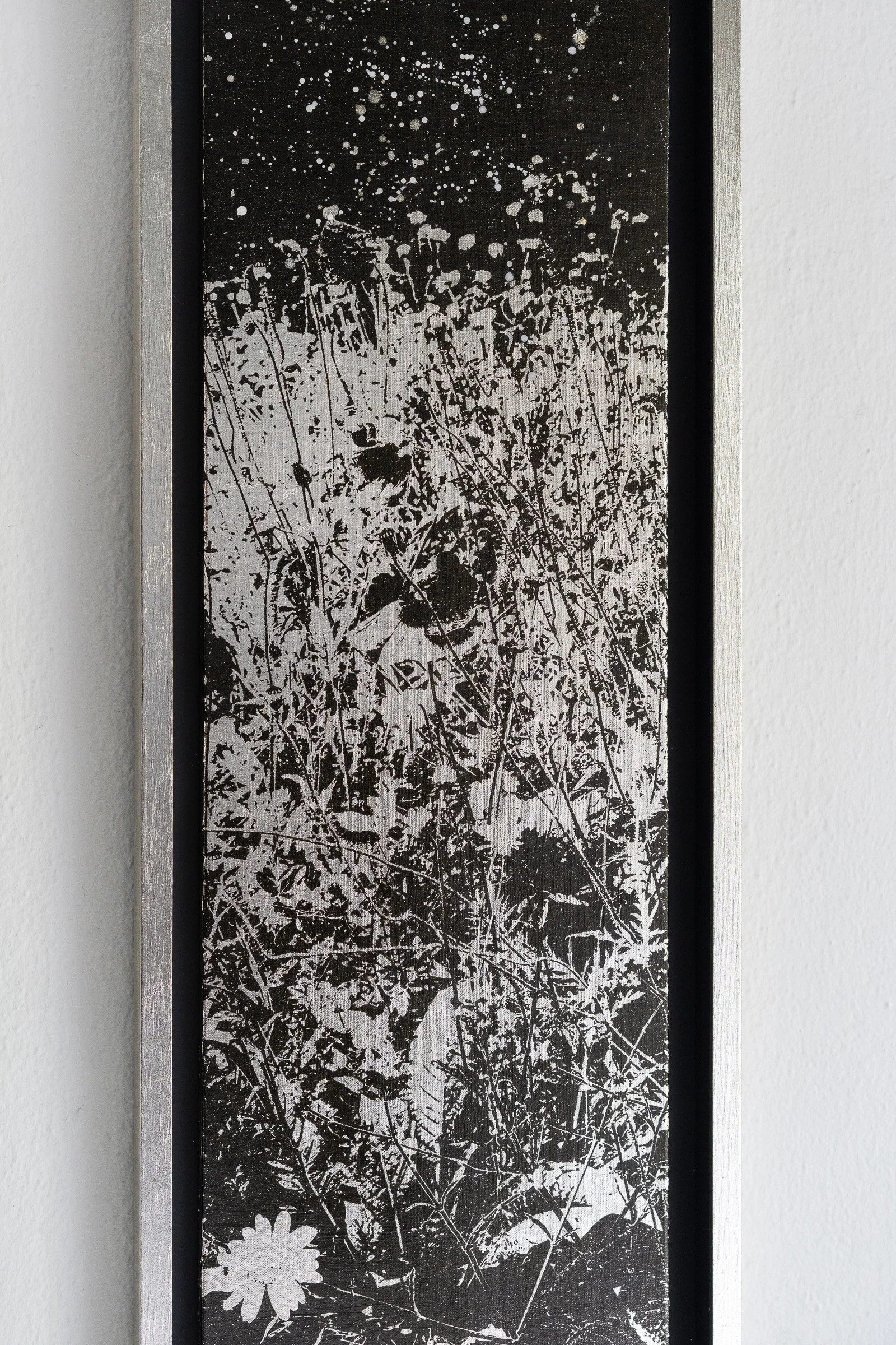 When Beauty Steps in #1_Closeup web.jpg