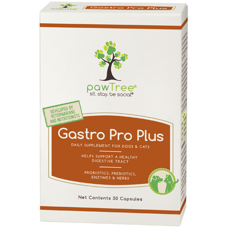 Gastro Pro Plus