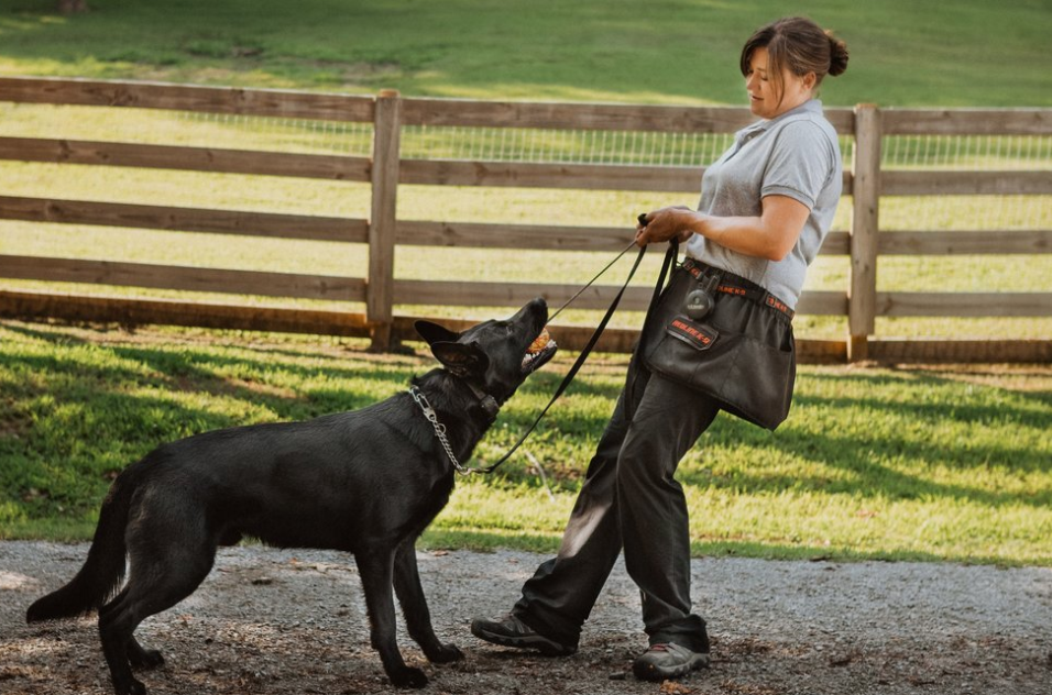 Training Tips from Home