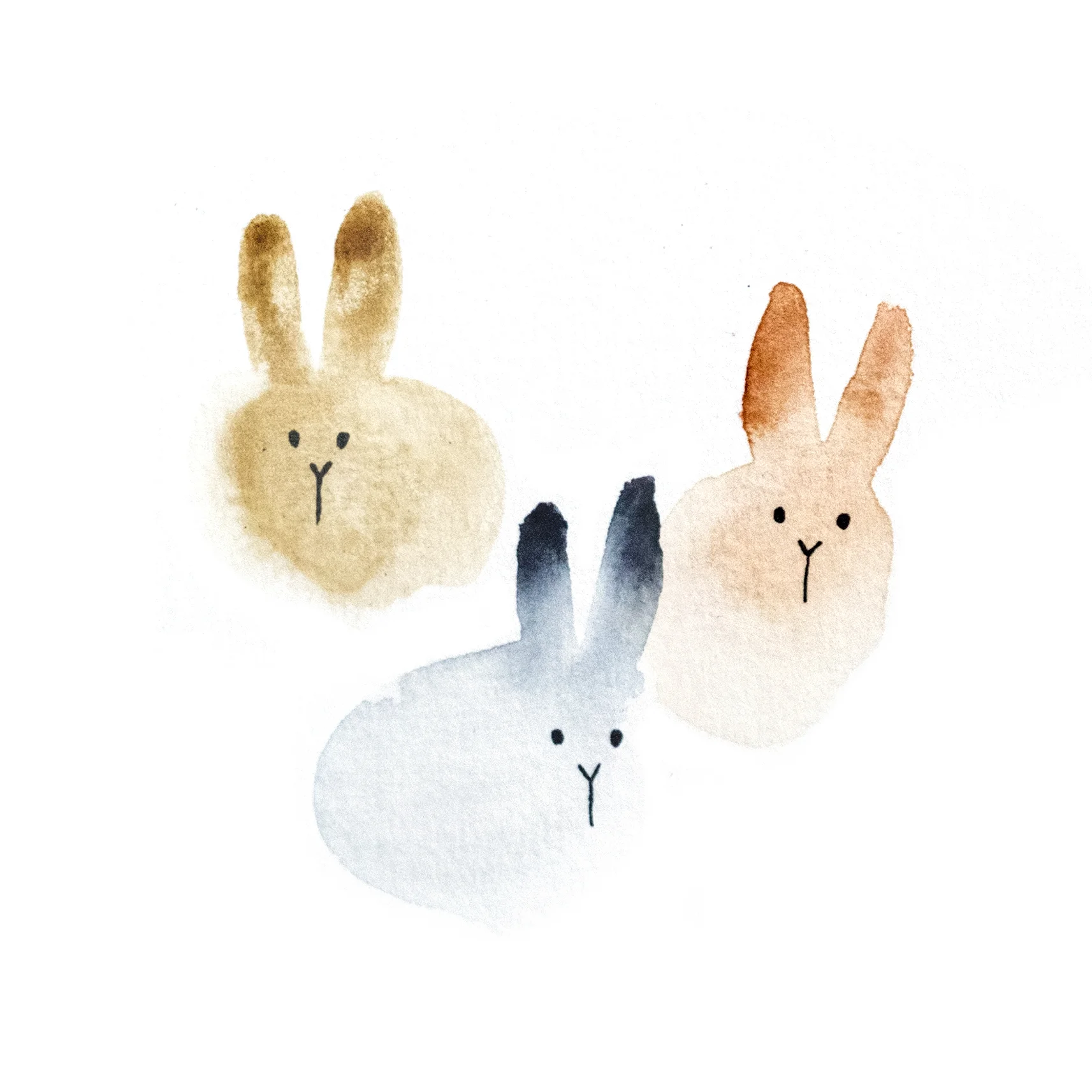 lapins.jpg