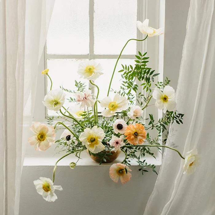 Photo by Meghan K Sadler, for Alexandra Grecco