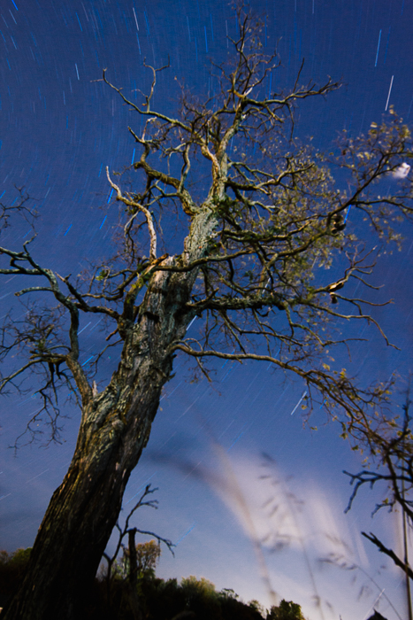 Blacksburg+Nightscapes-2.jpg