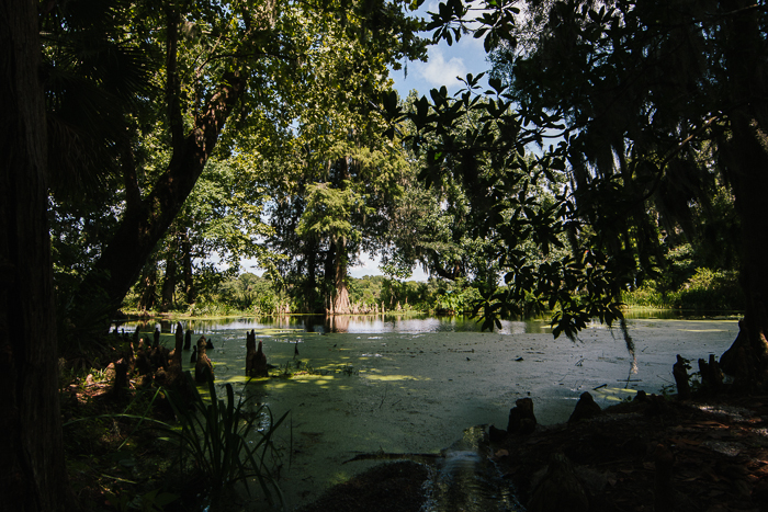 Charleston SC, July 2013-9.jpg