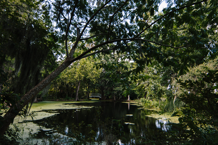 Charleston SC, July 2013-8.jpg