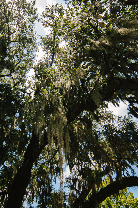 Charleston SC, July 2013-2.jpg