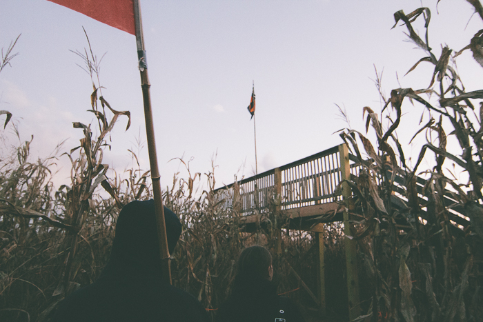 Corn Maze-21.jpg