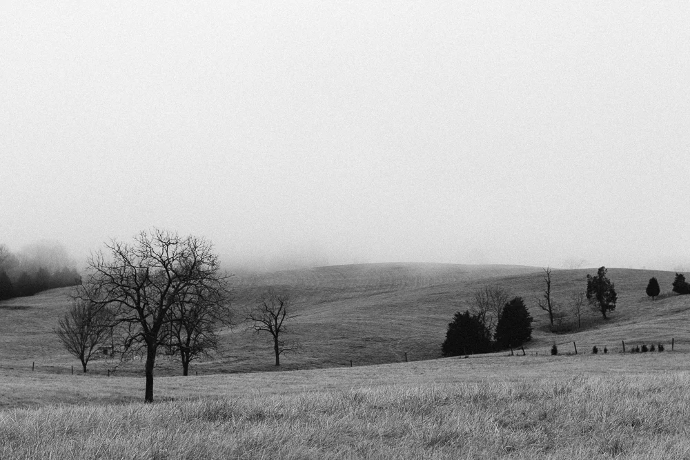 Heavy fog on the fields on Catawba Road | Blacksburg, V.A.