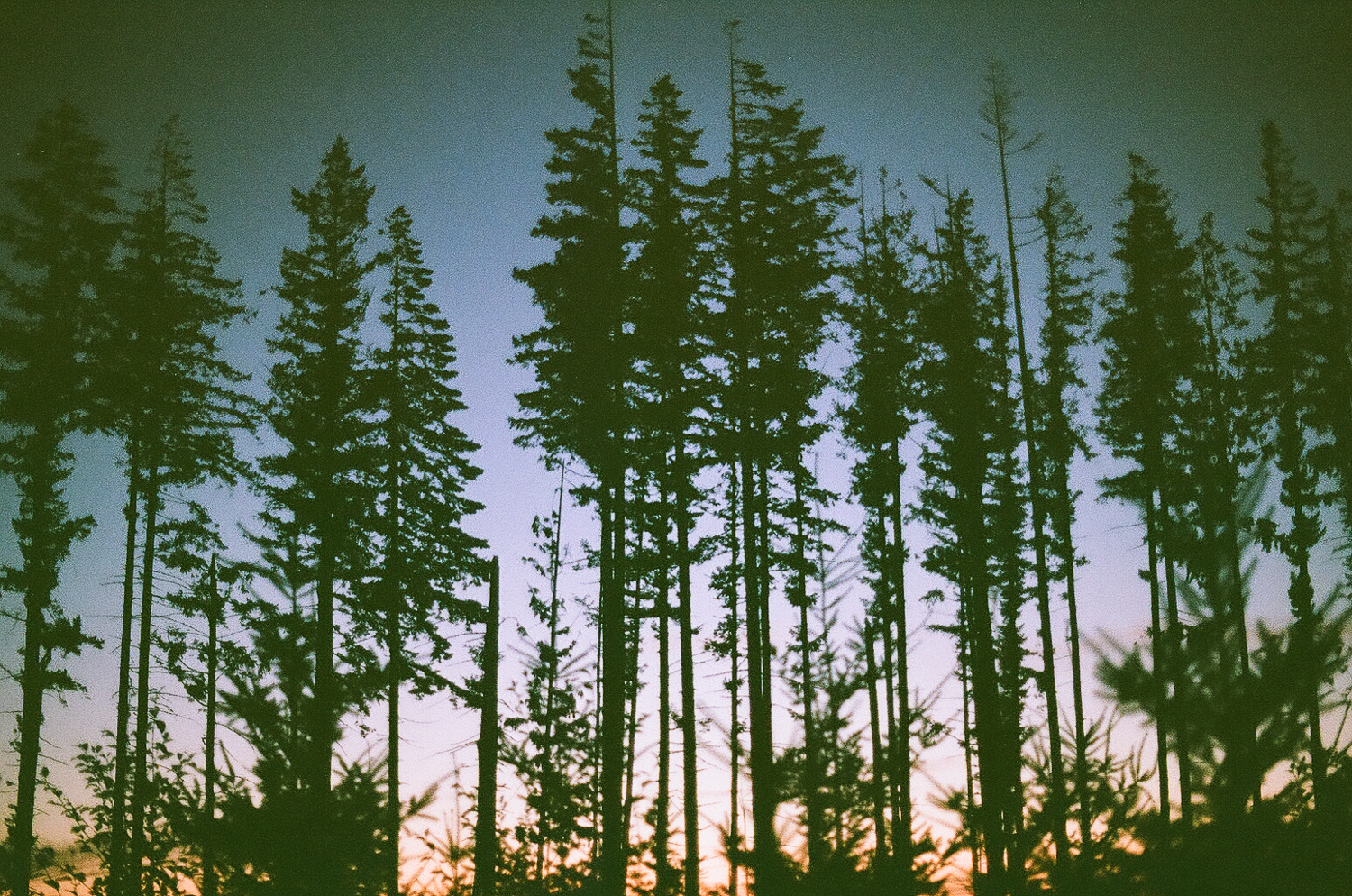 Mt. Rainier State Park, Washington | Fall 2017