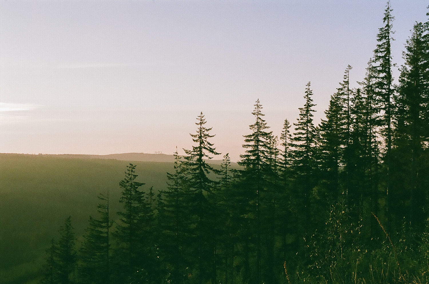 Mt. Rainier, Washington