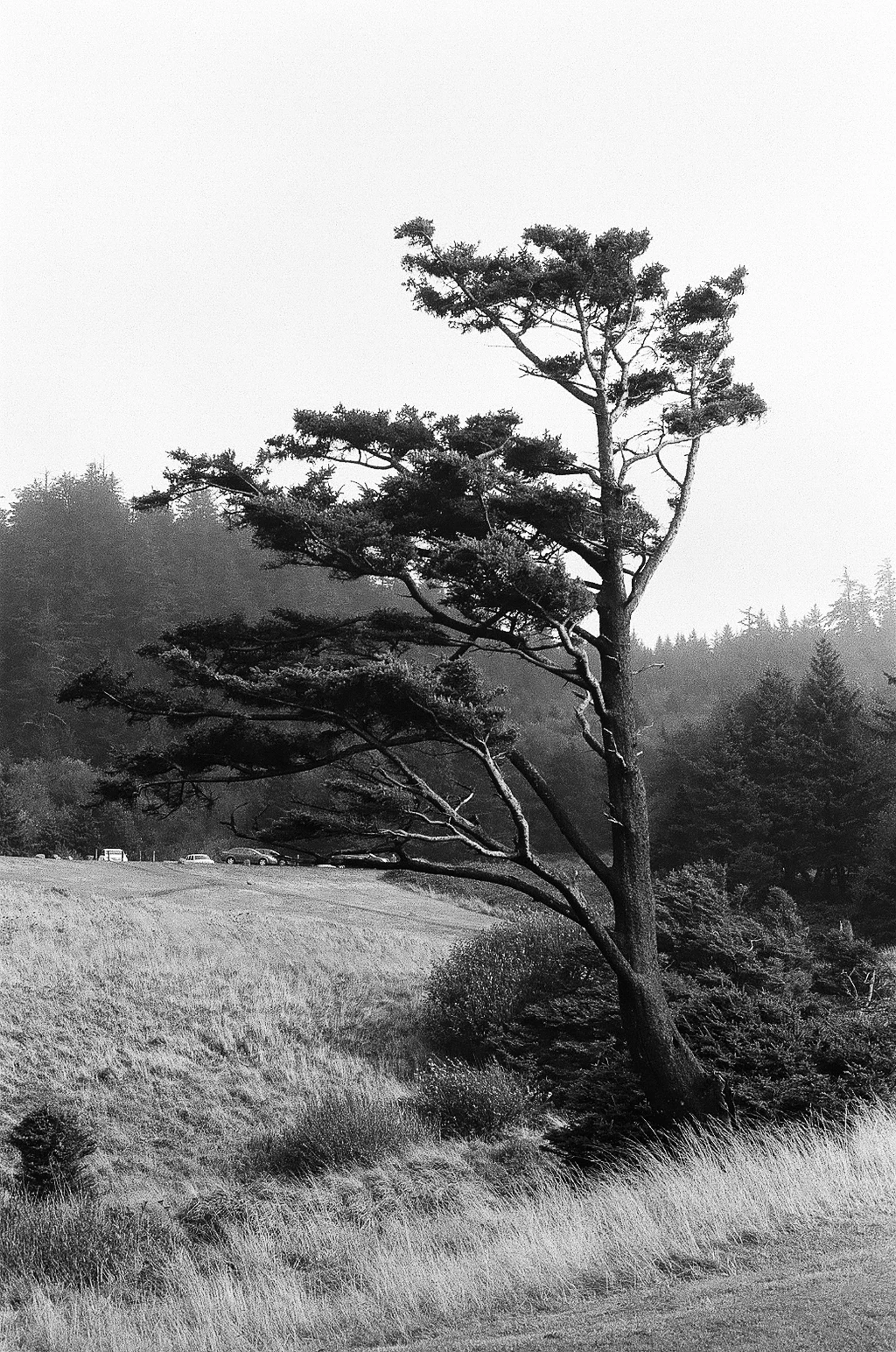 Cannon Beach, Oregon