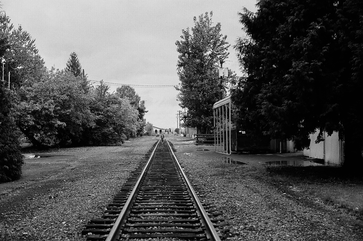 58410017.jpg